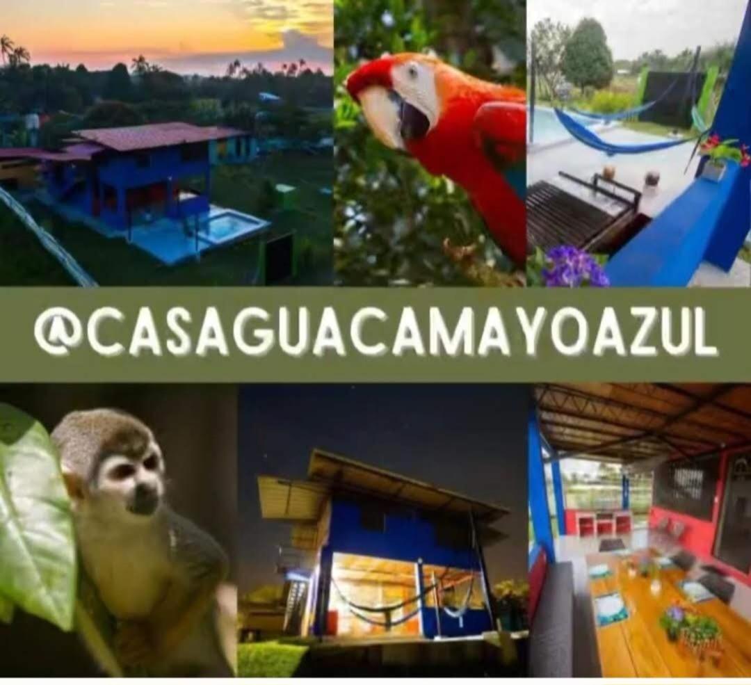 Guacamayo Azul Villa Iquitos Ngoại thất bức ảnh